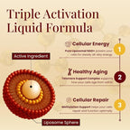 Liposomal NAD+ Supplement Liquid Drops - High Potency NMN Alternative for Cellular Energy, Healthy Aging & Brain Fog - Fast-Absorbing NAD Liquid Formula (2oz)