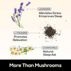 TrueMushroom - Sleep Support Mushroom Gummy Supplement with Melatonin for Sleep and Relaxation with Lion’s Mane, Cordyceps, Reishi, Shiitake. All-Natural, BlackBerry Flavor Gummies (60 Count)