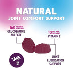 Joint Support Gummies - Glucosamine Plus Vitamin E Nature's Joint Support Supplement for Occasional Discomfort for Back, Knees & Hands - Cartilage & Joint Health & Flexibility Support - 60 Gummies