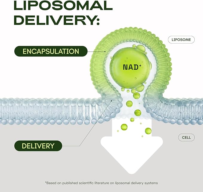 Liposomal NAD Supplement with Resveratrol – NMN Supplement Alternative – 60-Day Supply – Third-Party Tested – 120 Capsules – Advanced NAD+ Resveratrol - Pack of 2