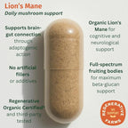 Lion’s Mane – Regenerative Organic Certified Mushroom Capsules for Focus, Memory & Nerve Support – Cognitive Clarity and Natural Energy – 90 Vegan Tablets