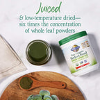 Garden of Life Raw Organic Perfect Food Green Superfood Juiced Greens Powder - Apple Flavor,30 Servings - Vegan Gluten Free Whole Food Dietary Supplement,Greens Plus Probiotics & Enzymes,(Pack of 2)