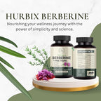 Hurbix Berberine - 1300 mg | 5 in 1 Enhanced Formula with Milk Thistle, Turmeric & Cinnamon | Premium High-Potency Formula | 60 Capsules