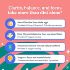FIRST DAY Women’s Brain Gummies for Focus, Memory & Clarity | Cognizin® Citicoline + Phosphatidylserine | Natural Sustained Energy, Peach Flavor, Vegan, Non-GMO | 30-Day Supply