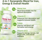 NEW ROOTS HERBAL Heme Iron Supplement | 4-in-1 Formula with Vitamin C, B12, Folate for Best Absorption | Raise Hemoglobin & Ferritin for Women & Men, Low-FODMAP (30 Capsules)