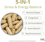 Adjust+ | Holy Basil, Panax & Siberian Ginseng, Phosphatidylserine, L-Theanine, Vitamins B & C | Adaptogen Stress Support, Calm Energy & Mental Clarity | 60 Capsules