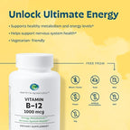 Earth's Splendor Energy + Muscle Support Energy Supplements: Vitamin B12 & Magensium, Gluten & Wheat Free, No Artificial Flavors & Preservative: Helps Metabolism, Bone & Muscle Health