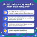 FIRST DAY Men’s Daily Nootropic Brain Supplement Gummies for Focus, Memory & Mental Energy | with Cognizin® Citicoline, Phosphatidylserine & Natural Caffeine | Vegan, Allergen-Free | 30-Day Supply