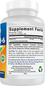 Best Naturals Vitamin B6 25mg 250 Tablets (250 Count (Pack of 2))