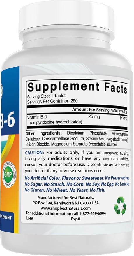 Best Naturals Vitamin B6 25mg 250 Tablets (250 Count (Pack of 2))