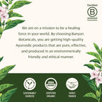 Banyan Botanicals Organic Shilajit – Pure Himalayan Mineral Pitch Supplement – Natural Source of Fulvic Acid & Trace Minerals for Energy, Detox & Healthy Aging – 90 Tablets – Sustainably Sourced