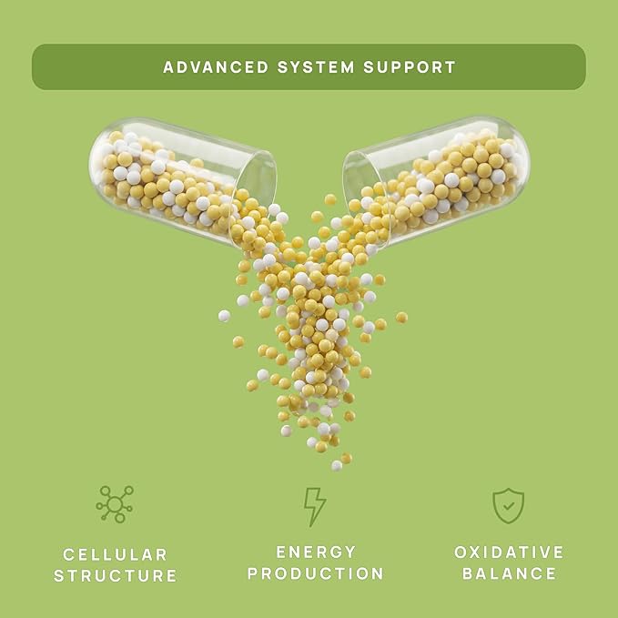 C15:0 Pentadecanoic Acid Supplement | Longevity, Cellular & Membrane Support, Micro-Granule Enhanced Absorption, Phosphatidylcholine, L-Carnitine, Ubiquinol CoQ10 & Tocotrienols – 120ct