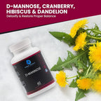 D-Mannose with Cranberry, Dandelion & Hibiscus Extract - Aids in Bladder, Urinary Tract Support, Flush Impurities - Ultra Absorption Gluten Free & Non GMO | 60 Capsules