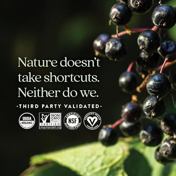 New Chapter Elderberry Gummies for Adults & Kids (2+), USDA Organic 64x Concentrated Elderberry for Immune Support, Great-Tasting Whole-Food Gummies, Vegan & Non-GMO - 60 ct