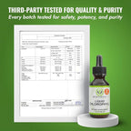 Benevolent Nourishment Chlorophyll Supplement, Detox & Immune Support, Internal Deodorizer, Liquid Drops