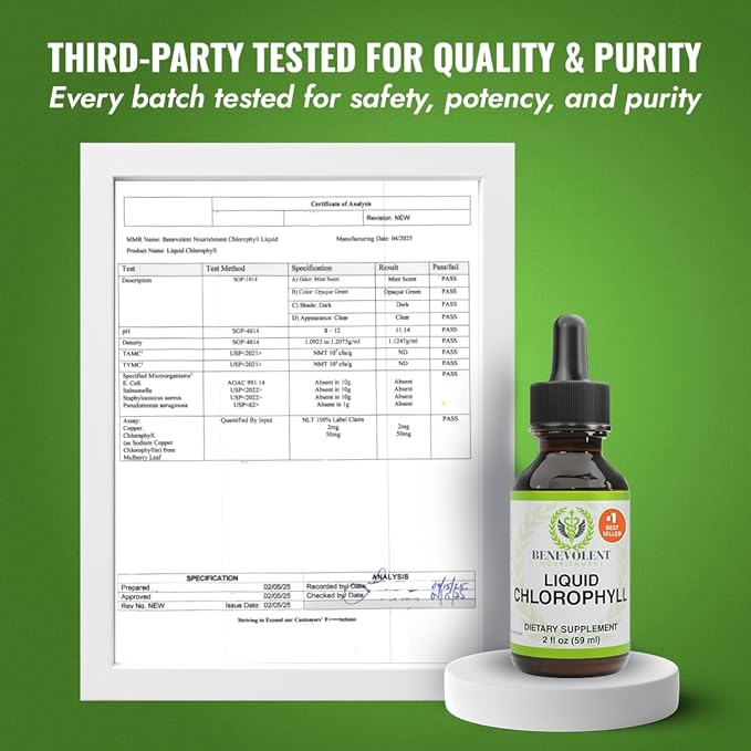 Benevolent Nourishment Chlorophyll Supplement, Detox & Immune Support, Internal Deodorizer, Liquid Drops