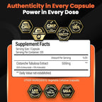 Premium Cistanche Tubulosa Extract 500mg (120 Capsules) - 50% Echinacosides,10% Acteosides - Natural Nootropic for Stamina, Immunity and Memory - No Fillers, Hormone Balance - Strength Booster for Men