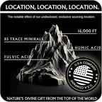 THE GOLD Shilajit Resin | Shilajit Pure Himalayan Organic Shilajit for Men & for Women Lab Test in USA Grade A+ All Natural Dietary Supplement with Fulvic Acid + Trace Minerals | 50 Grams 100 Servings