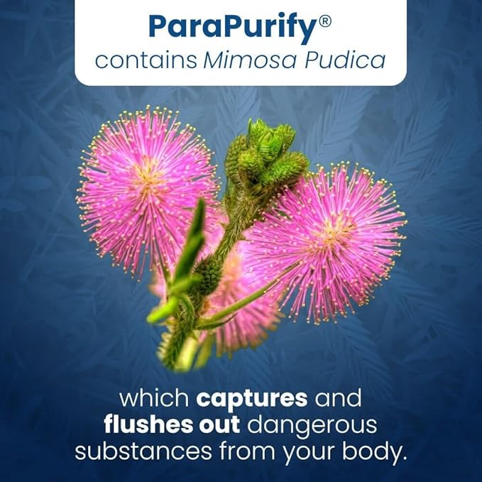 Well of Life ParaPurify 120 Mimosa Pudica Black Walnut Supplement – Digestive Health Support & Herbal Cleanse Formula | Supports Gut Health & Internal Clarity | Organic Non-GMO Vegan Capsules