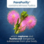 Well of Life ParaPurify 120 Mimosa Pudica Black Walnut Supplement – Digestive Health Support & Herbal Cleanse Formula | Supports Gut Health & Internal Clarity | Organic Non-GMO Vegan Capsules