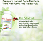 NEW ROOTS HERBAL Beta-Carotene 25,000 IU Supplements | Vitamin A (90 Softgels) | Full Spectrum of Carotenoids | Naturally Sourced from Non-GMO Red Palm Fruit + Organic Flax Seed Oil