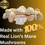 Lion’s Mane Tincture Enhanced, High Potency, Double Extracted, 60 Daily Doses
