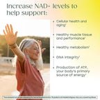 MegaFood NAD+ Supplement with Nicotinamide Riboside & Resveratrol - NMN Supplement Alternative - Vitamin B12, B6, Methylfolate & Niacin - NAD for Healthy Aging - Non-GMO - 60 Capsules, 30 Servings