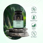 Serotonin Support Supplement – Helps Boosts 5HTP, Serotonin & Cortisol Levels, Herbal Blend – Promotes Positive Mood, Calmness, Stress Relief | Happy Mood & Brain Support | 60 Capsule
