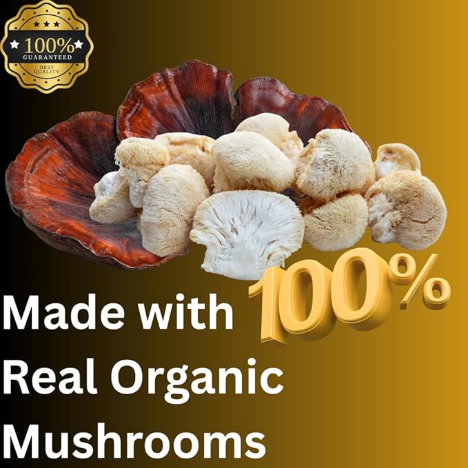 Evening Routine Mushroom Tincture, High Potency, Double Extracted, 60 Daily Doses, Reishi and Lion's Mane