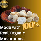 Evening Routine Mushroom Tincture, High Potency, Double Extracted, 60 Daily Doses, Reishi and Lion's Mane