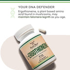 Ergothioneine Supplement (EGT) 30mg of Pure, Plant-Based L-Ergothioneine Per Capsule, 60 Count (May Support Longevity and Healthy Aging) Non-GMO, Gluten Free, Vegan Safe by Double Wood