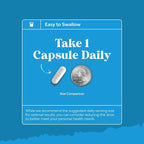 Bundle of High Absorption Magnesium Sleep Supplement - Rest Support Magtein Magnesium L-Threonate & Apigenin Theanine and NAC Supplement N-Acetyl Cysteine 600mg- High Absorption NAC 600 mg Capsules