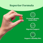 BeLive Fiber Gummies - Prebiotic Fiber Supplement with Chicory Root & Inulin for Digestive Support & Overall Gut Health I Vegan, Sugar Free Gummies for Adults & Children - Apple Flavor | 2-Pack