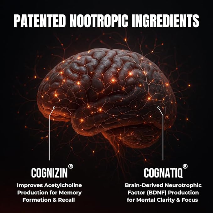 All-Natural Brain Supplement for Memory and Focus - Caffeine-Free Long-Term Cognitive Support - 10 Nootropic Ingredients Including Lion’s Mane, Bacopa, Turmeric, Ginkgo & Huperzine A - 90 Capsules