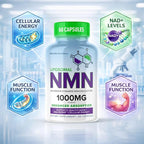 Liposomal NMN 1000mg – Nicotinamide Mononucleotide Supplement – NAD+ Precursor for Cellular Energy, DNA Repair, & Healthy Aging Support – 99% High Purity Shelf Stablized, Made in USA, 60 Capsules