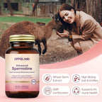 Advanced Spermidine Supplement, Fermented Wheat Germ Extract with Zinc & Vitamin B1, Cellular Health Support, Vegan Capsules, 60 Count