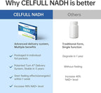 CELFULL NADH Supplement 40mg Enchance NMN Alternative NAD+ Supplement for Immune Support Anti-Aging Boost Brain Cognition & Chronic Fatigue Supplements