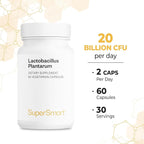 Supersmart - Lactobacillus Plantarum PostBiotic 20 Billion CFU per Day (Immuno-LP20) - Heat-Treated Probiotic Supplement | Non-GMO & Gluten Free - 60 Vegetarian Capsules