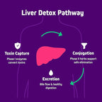 Herbtonics Liver Cleanse Detox & Repair Supplement with Milk Thistle & Artichoke 20-in-1 Liver Support Formula, Energy & Overall Health | Dandelion, Turmeric, Berberine | 120 Vegan Capsules