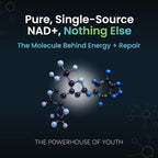 NAD+ Supplement - 500mg of Pure NAD Plus for Energy, Focus, Skin & Anti-Aging Support - Gluten Free Non-GMO NAD Supplements for Women & Men (60 Count, NAD +)