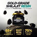 Gya Labs Himalayan Shilajit Resin for Men, 100 Servings - 85+ Trace Minerals, 75% Fulvic Acid for Energy & Immune Support - Max Potency, Gold Grade, No Heavy Metals fit for Women