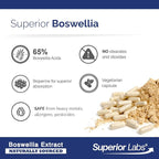 Superior Labs Boswellia Serrata Extract 500mg – 65% Boswellic Acids, Pure Non-GMO, Zero Fillers, Indian Frankincense, Supports Healthy Inflammatory Response & Joint Comfort – 240 Veg Caps