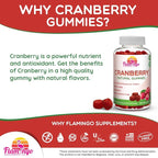 Cranberry Gummies 1000 mg - Cranberry Supplement Alternative to Cranberry Pills or Juice for Women, Men, Kids. Cranberry for Urinary Tract Health, UTI Relief- Vegan, Halal, Kosher Chews- 60 Gummies