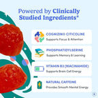 FIRST DAY Women’s Brain Gummies for Focus, Memory & Clarity | Cognizin® Citicoline + Phosphatidylserine | Natural Sustained Energy, Peach Flavor, Vegan, Non-GMO | 30-Day Supply