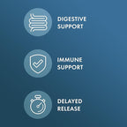 Dr. Mercola Biothin Probiotic - Digestive Health Supplement - Supports Healthy Metabolism - GMO-Free, Gluten-Free & Soy-Free - 30 Delayed-Release Capsules (30 Servings)