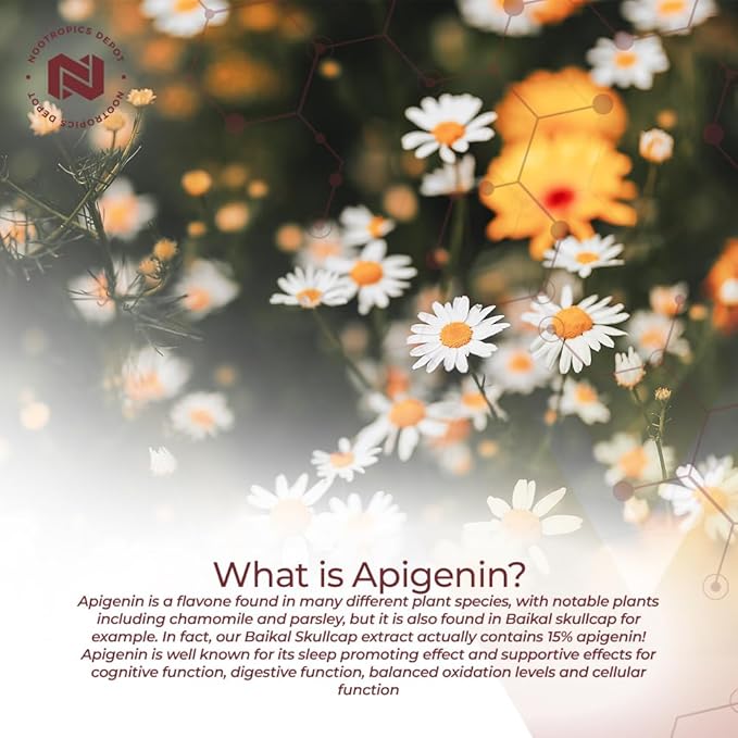 Nootropics Depot Apigenin Capsules | 50mg | 60 Count | >98% Apigenin | Supports Relaxation, Joint Health, and NAD+ Levels
