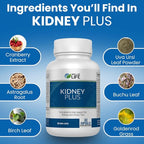Well of Life: Kidney Plus 600mg with Cranberry Extract, Astragalus Root, Java Tea-Leaf & antioxidants for Overall Well-Being, Helps Healthy Kidney Function & Urinary Tract Wellness, 60 Capsules