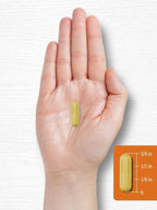 Carlyle Turmeric Curcumin Supplement | 180 Powder Capsules | Herbal Complex | Non-GMO, Gluten Free Formula