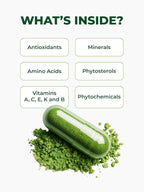 PURA VIDA MORINGA Organic Moringa Capsules Single Origin Moringa Powder Organic. Pure Moringa Leaf. Energy, Metabolism, & Immune Support. 120ct. 500mg Caps (Pack of 2)