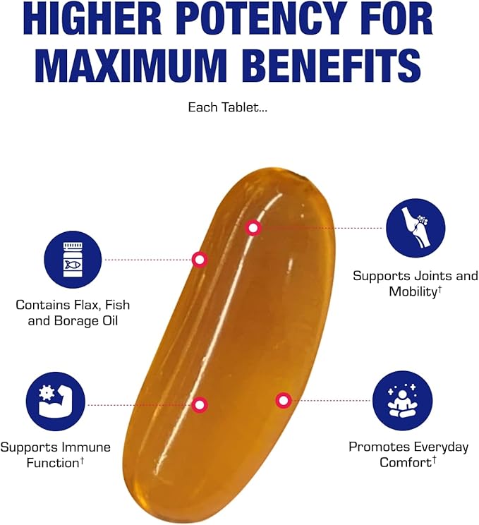 Fish Oil Omega 3 6 9 Supplement - Full Spectrum Clinical Formula Fish Oil Pills with Omega-3 Fatty Acids EPA & DHA plus GLA ALA Oleic Acid and More for Brain Heart & Overall Health - 90 Day Supply